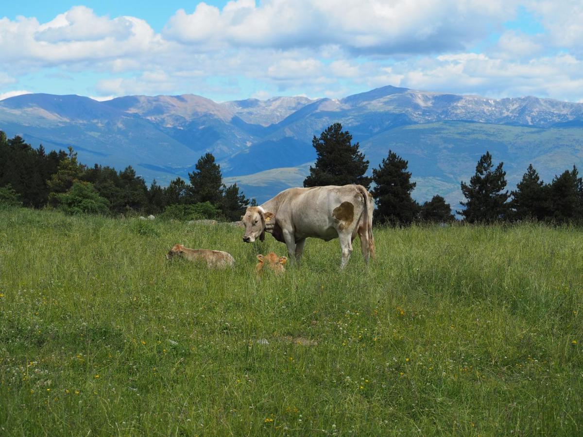 Apartament A La Molina, Grans Vistes, Llar De Foc Ла Молина Екстериор снимка